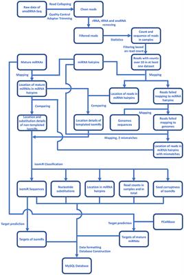 Plant IsomiR Atlas: Large Scale Detection, Profiling, and Target Repertoire of IsomiRs in Plants